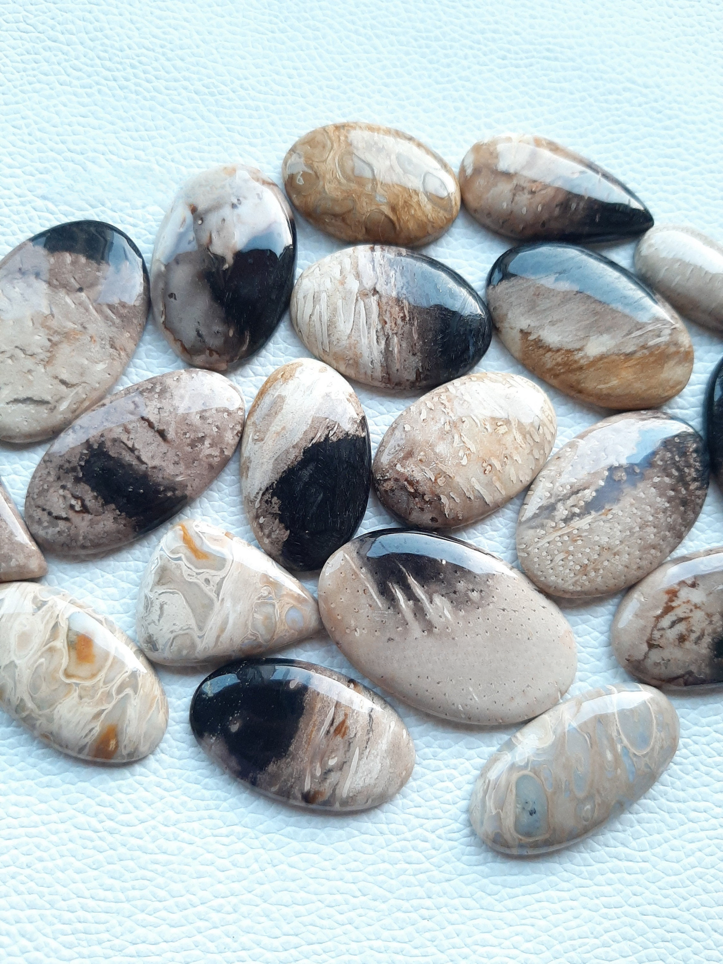 Natural PALM ROOT Agate Cabochon Wholesale Lot By Weight With Different Shapes And Sizes Used For Jewelry Making (Natural)