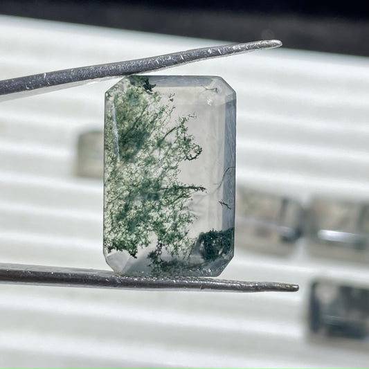 Natural Moss Agate Emerald Cut (Natural)