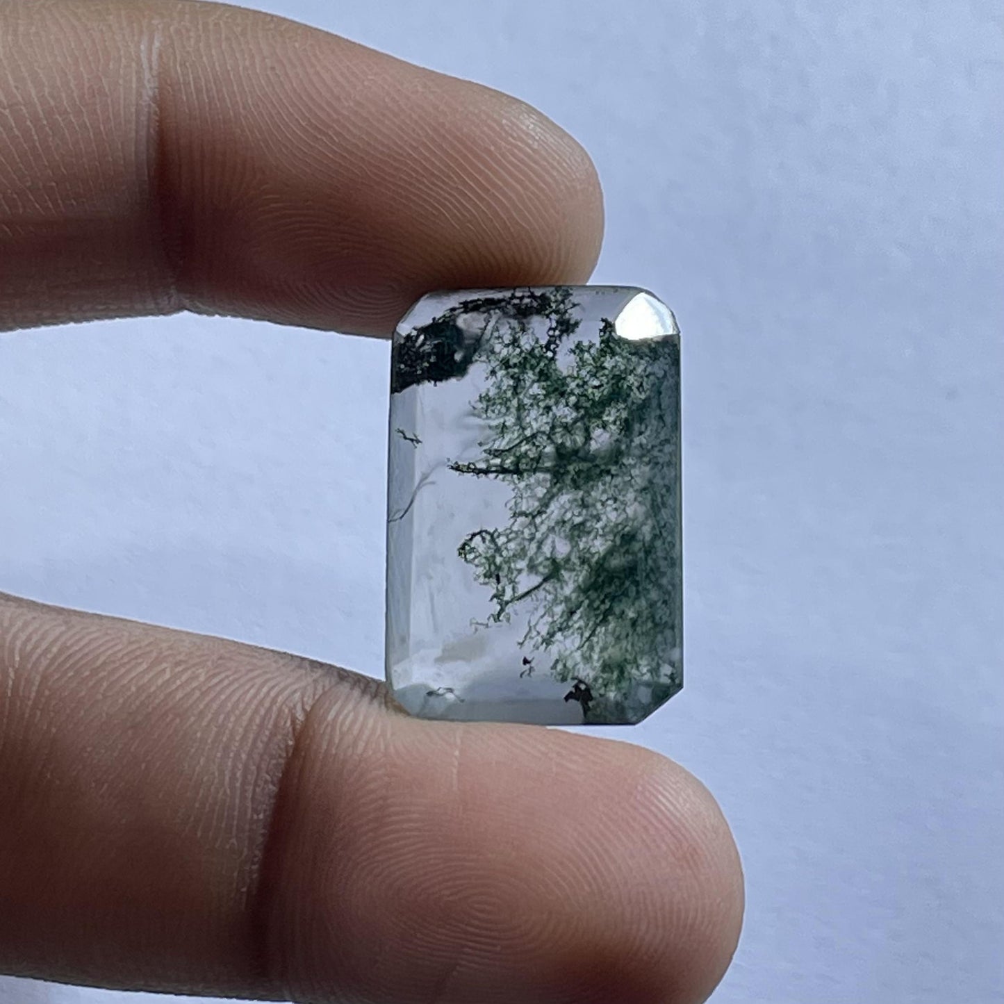 Natural Moss Agate Emerald Cut (Natural)