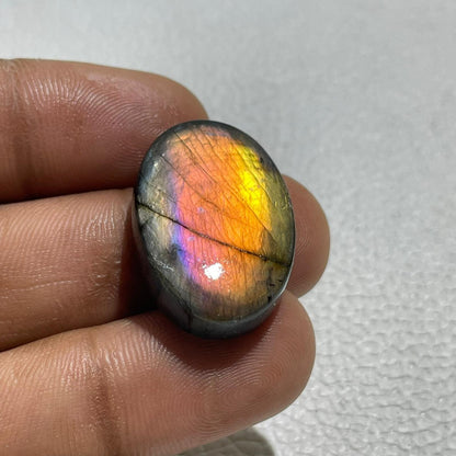 AAA Labradorite Cabochon: Multi Fire Spectrolite Gemstone (27.5x18x7 mm)