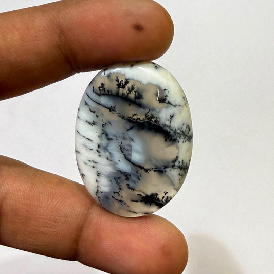 Natural Dendritic opal Oval Cabochon Loose Gemstone, Scenic Landscape Agate, Moss Agate Cabochon for Jewelry Making, Collector Stone