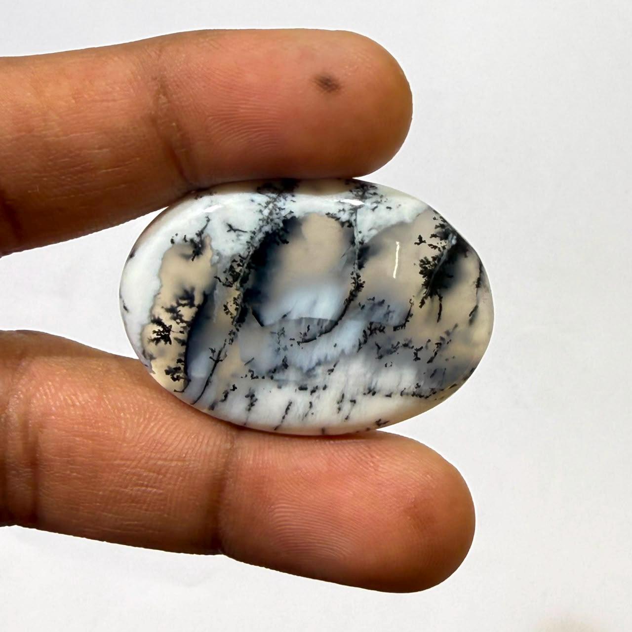 Natural Dendritic opal Oval Cabochon Loose Gemstone, Scenic Landscape Agate, Moss Agate Cabochon for Jewelry Making, Collector Stone