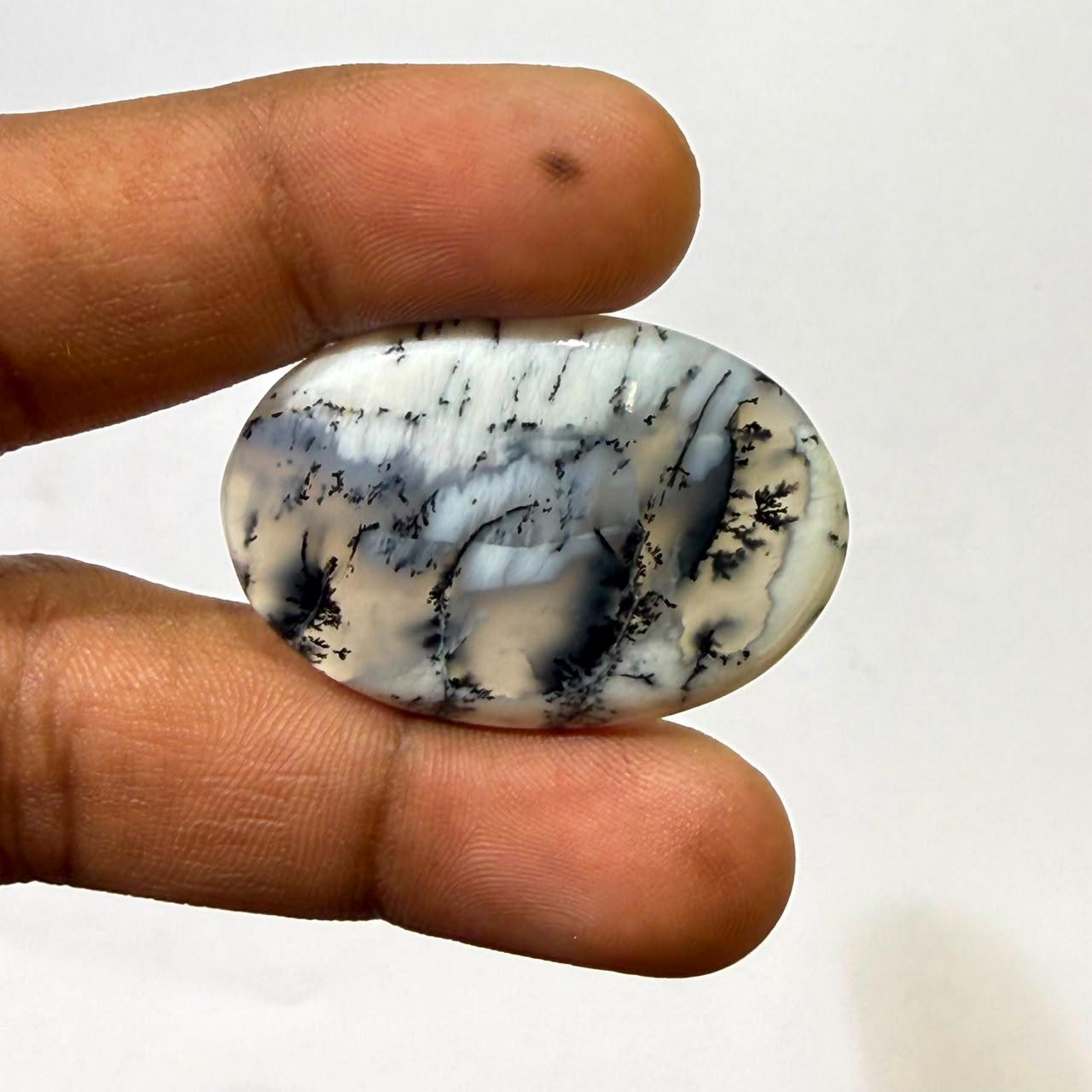 Natural Dendritic opal Oval Cabochon Loose Gemstone, Scenic Landscape Agate, Moss Agate Cabochon for Jewelry Making, Collector Stone