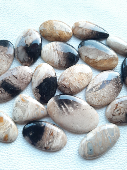 Natural PALM ROOT Agate Cabochon Wholesale Lot By Weight With Different Shapes And Sizes Used For Jewelry Making (Natural)