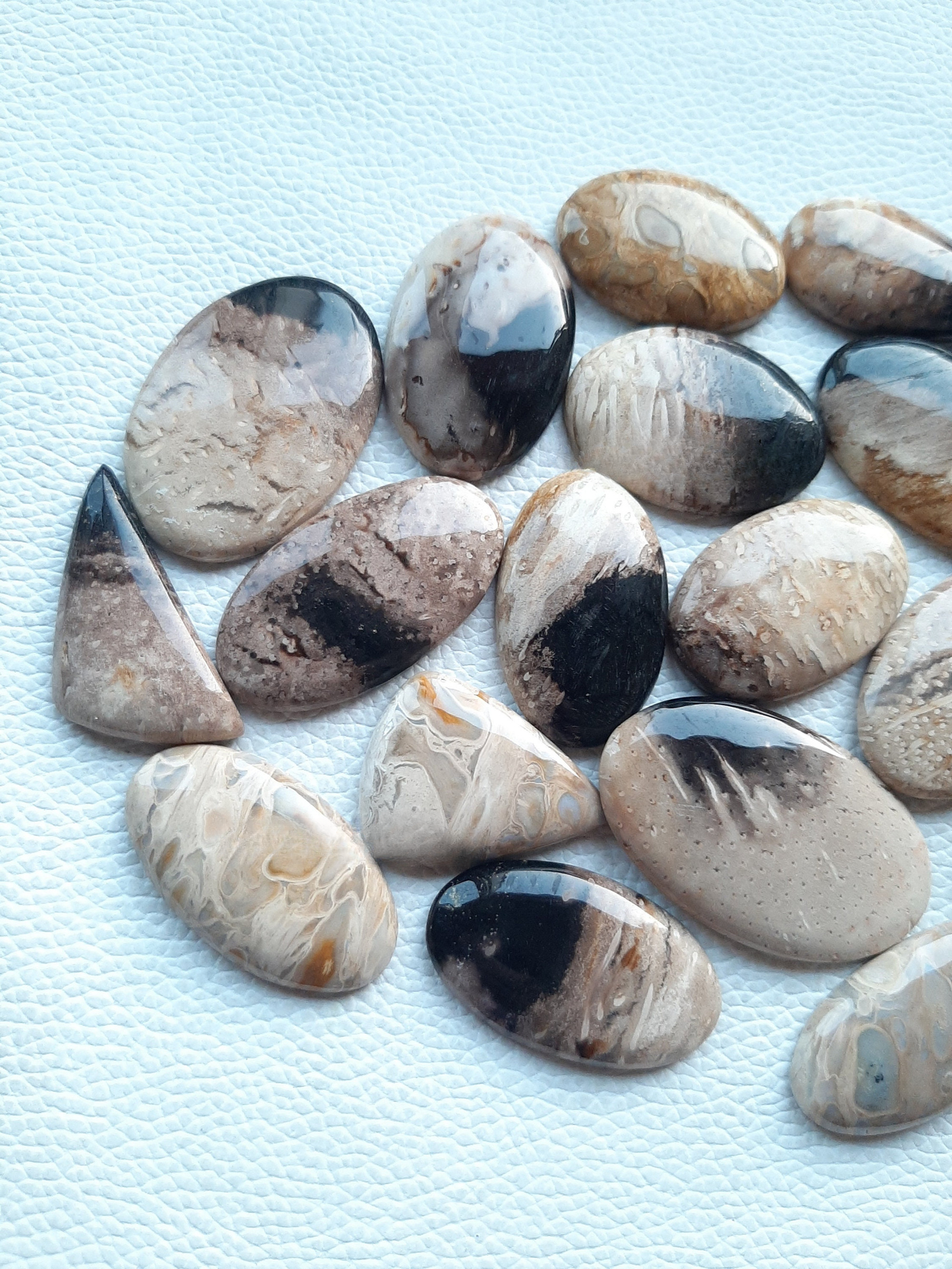 Natural PALM ROOT Agate Cabochon Wholesale Lot By Weight With Different Shapes And Sizes Used For Jewelry Making (Natural)
