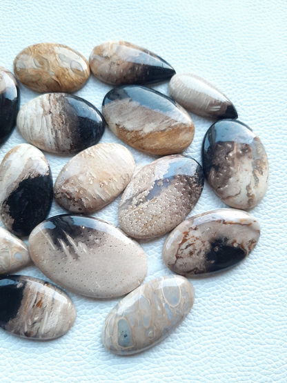 Natural PALM ROOT Agate Cabochon Wholesale Lot By Weight With Different Shapes And Sizes Used For Jewelry Making (Natural)