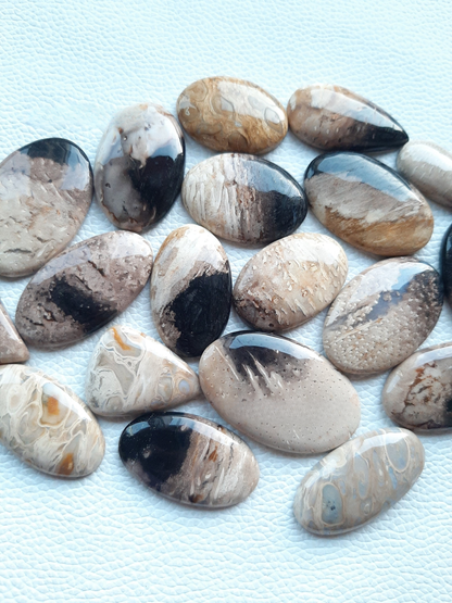 Natural PALM ROOT Agate Cabochon Wholesale Lot By Weight With Different Shapes And Sizes Used For Jewelry Making (Natural)