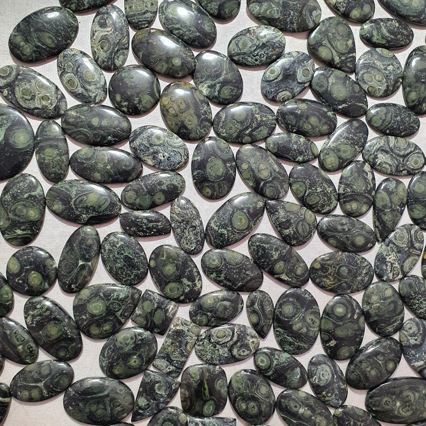 Natural Star Galaxy/Kambaba Jasper Cabochon (Natural)