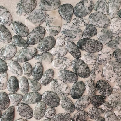 Natural Tree Agate Cabochon (Natural)