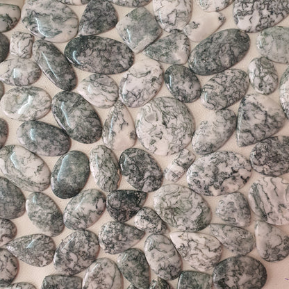Natural Tree Agate Cabochon (Natural)