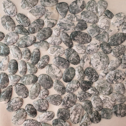 Natural Tree Agate Cabochon (Natural)