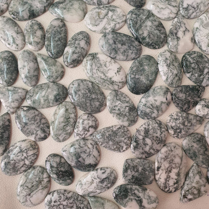 Natural Tree Agate Cabochon (Natural)