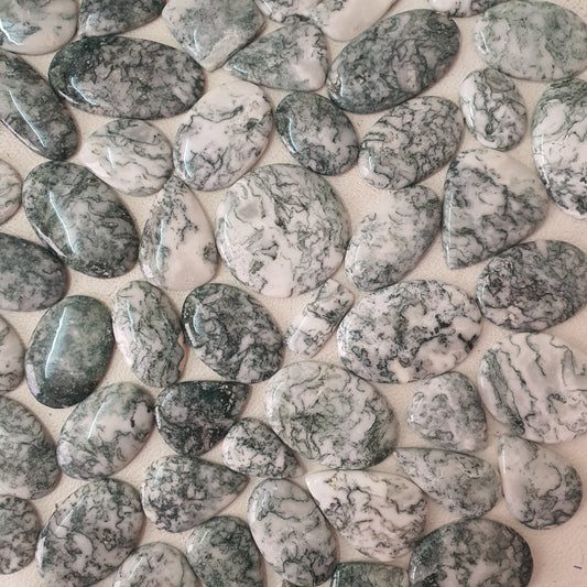 Natural Tree Agate Cabochon (Natural)