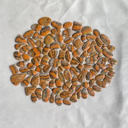 Natural Bumble Bee Jasper Cabochon (Natural)
