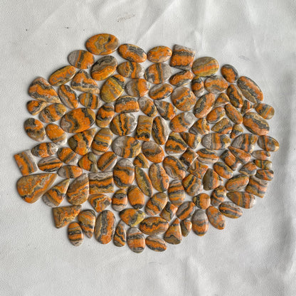 Natural Bumble Bee Jasper Cabochon (Natural)