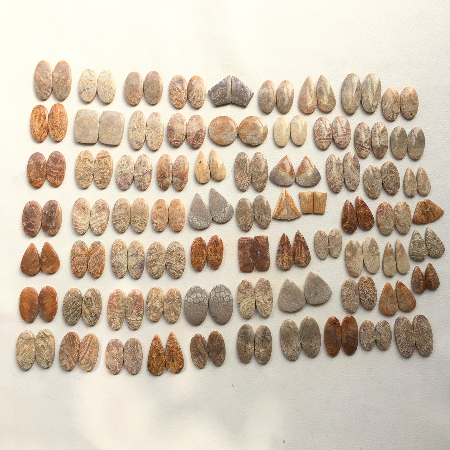 Natural Fossil Coral Pairs Cabochon (Natural)