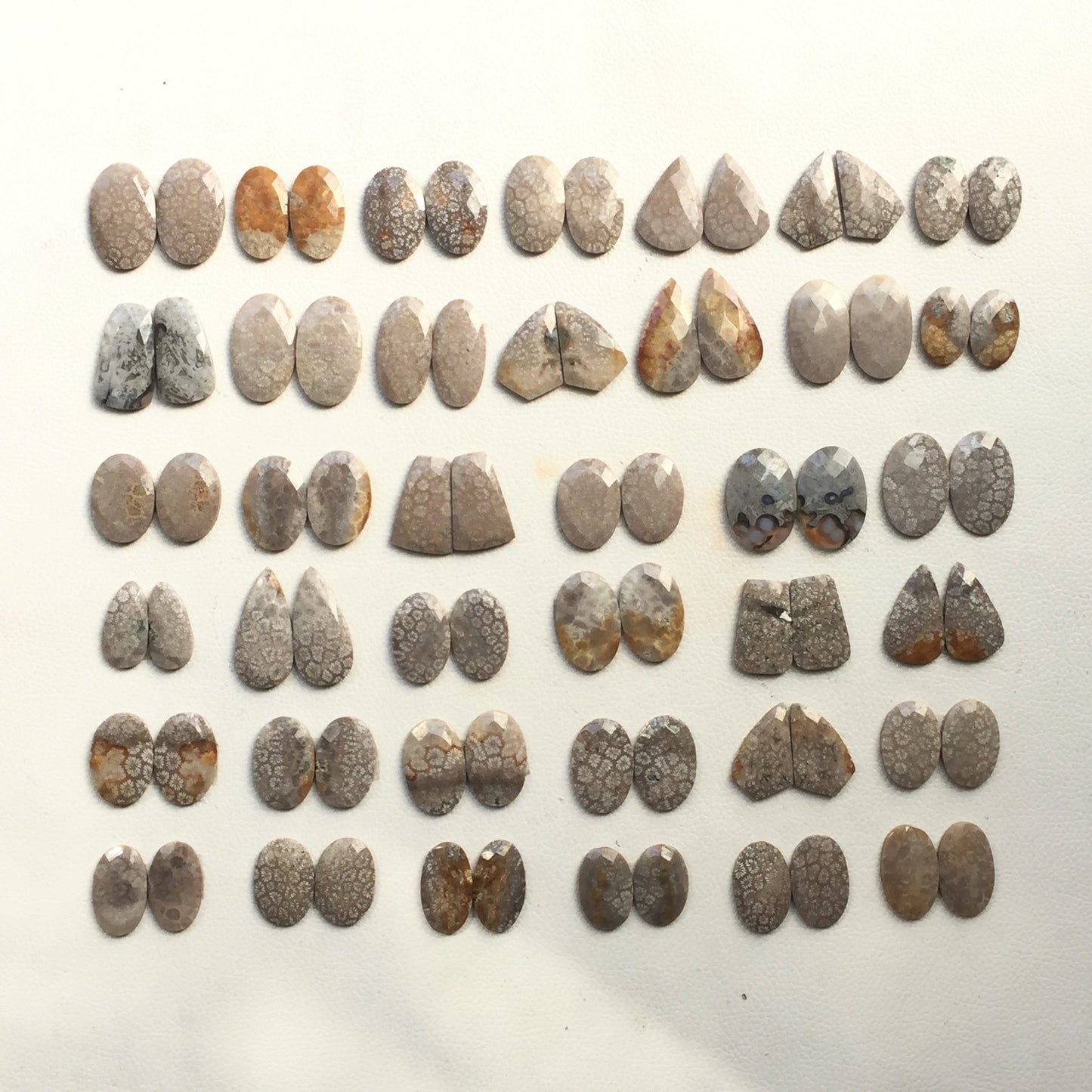 Natural Fossil Coral Pairs Faceted (Natural)