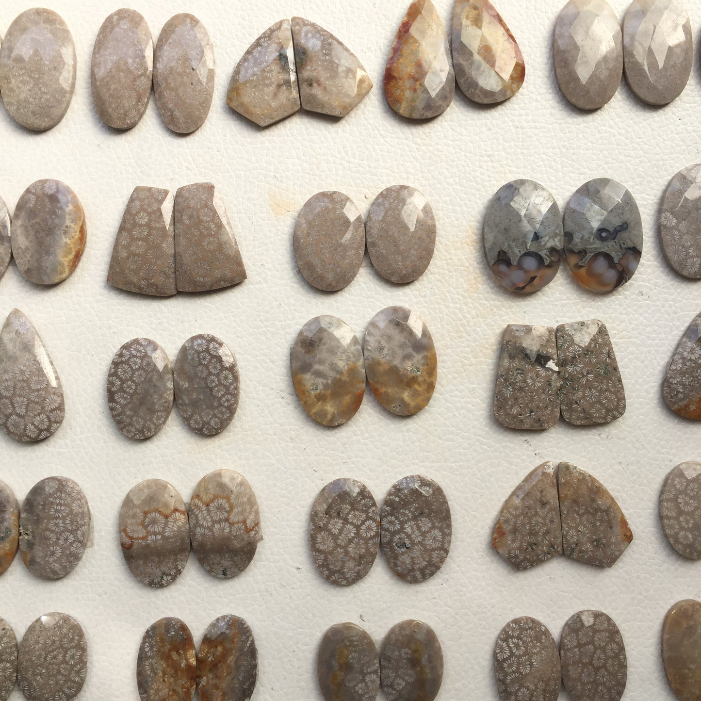 Natural Fossil Coral Pairs Faceted (Natural)