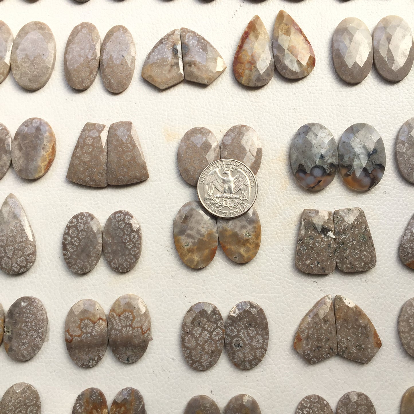 Natural Fossil Coral Pairs Faceted (Natural)