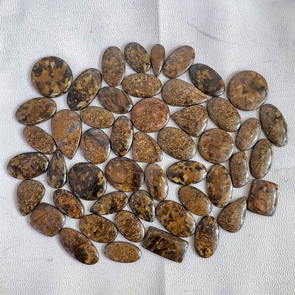 Natural Bronzite Cabochon (Natural)