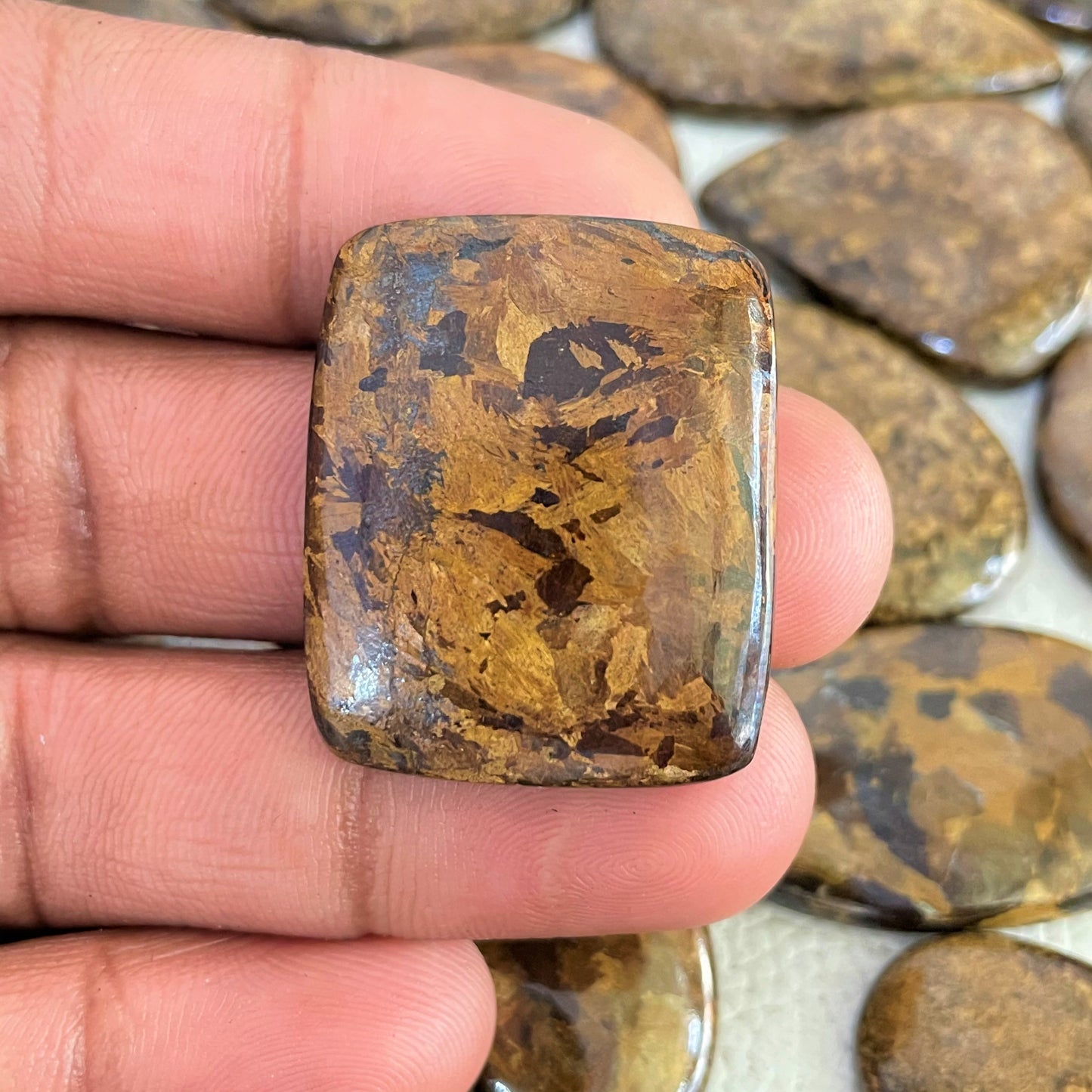 Natural Bronzite Cabochon (Natural)