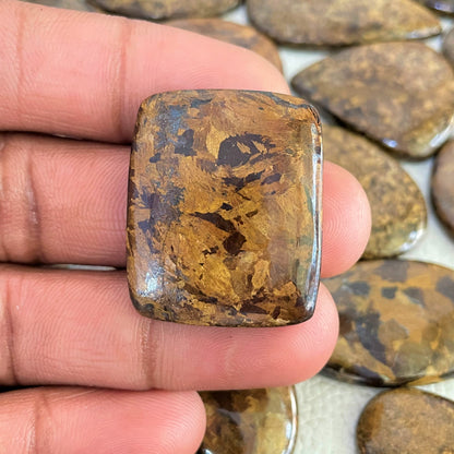 Natural Bronzite Cabochon (Natural)