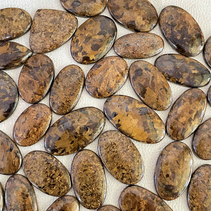 Natural Bronzite Cabochon (Natural)