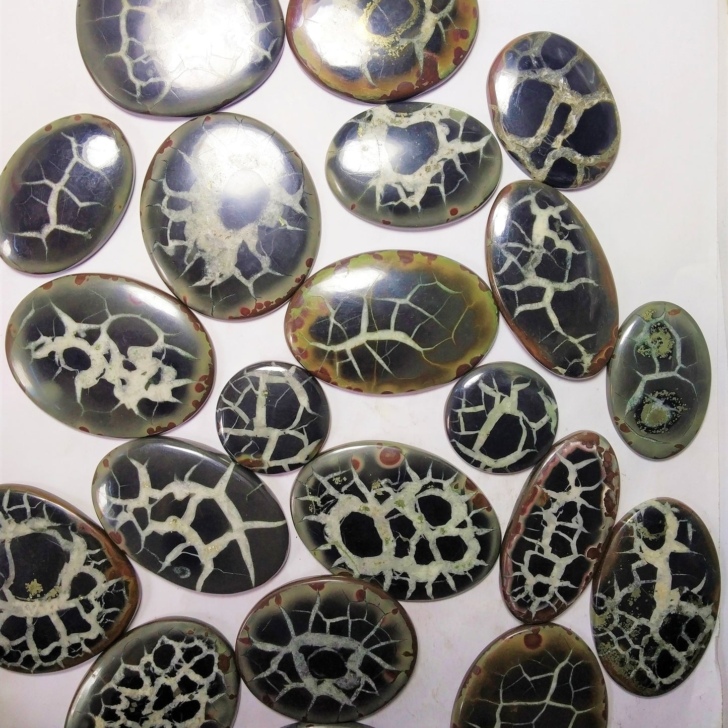 Natural Black Septarian Cabochon (Natural)