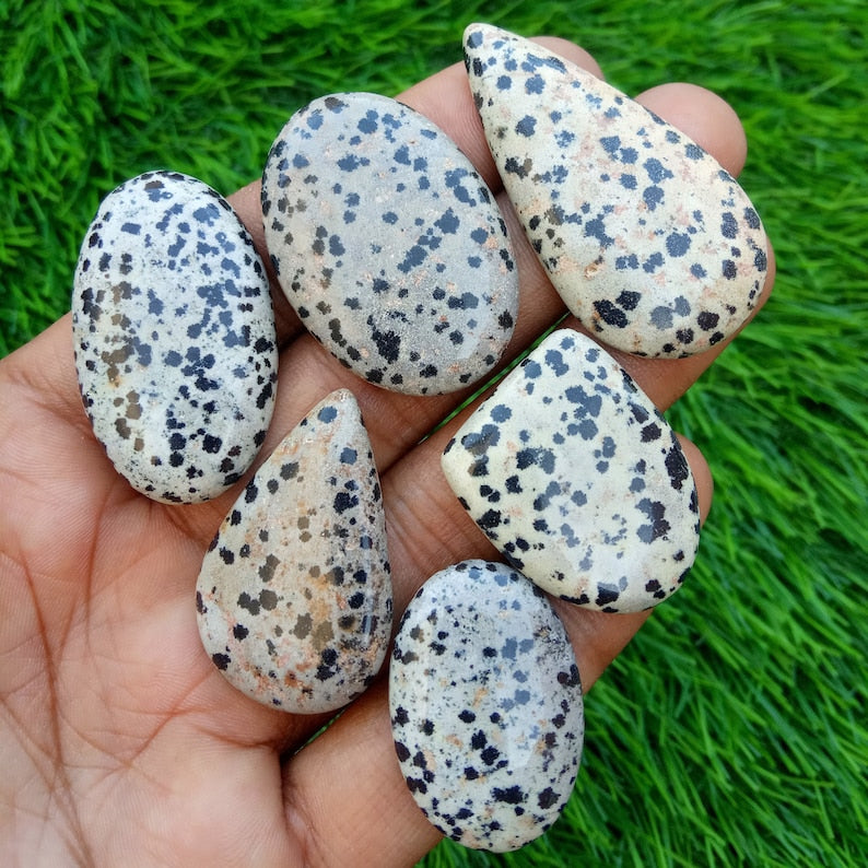 Natural Dalmatian Jasper Cabochon (Natural)