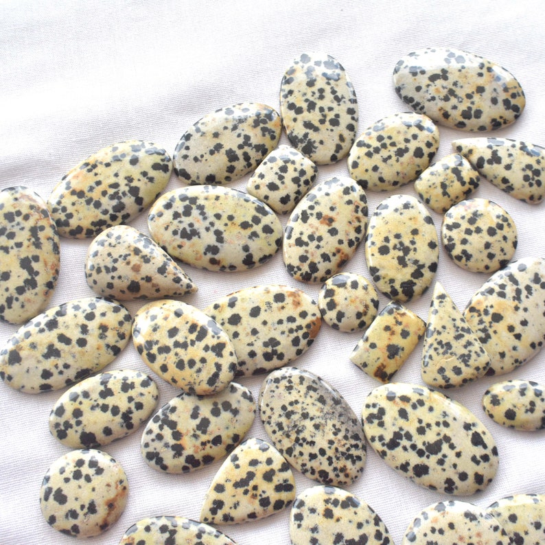 Natural Dalmatian Jasper Cabochon (Natural)