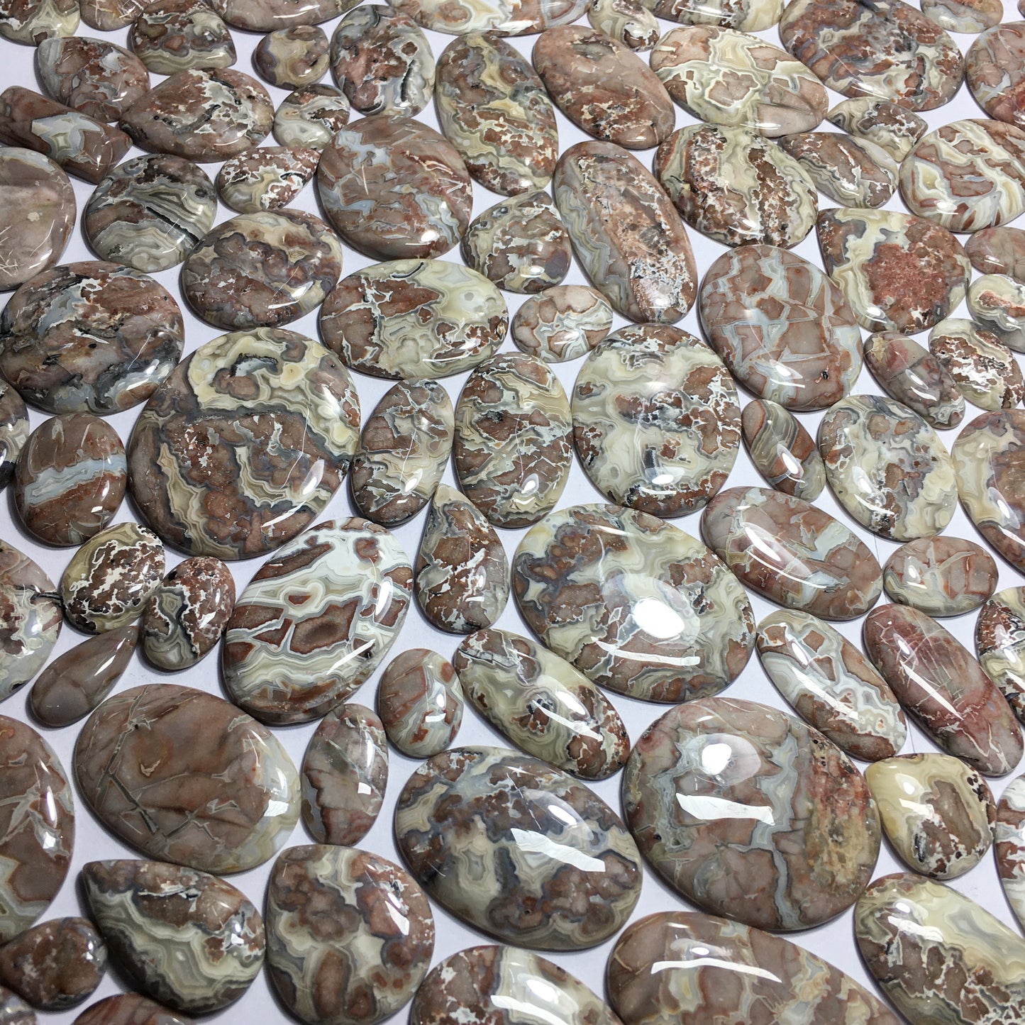 Natural Crazy Lace Agate Cabochon (Natural)