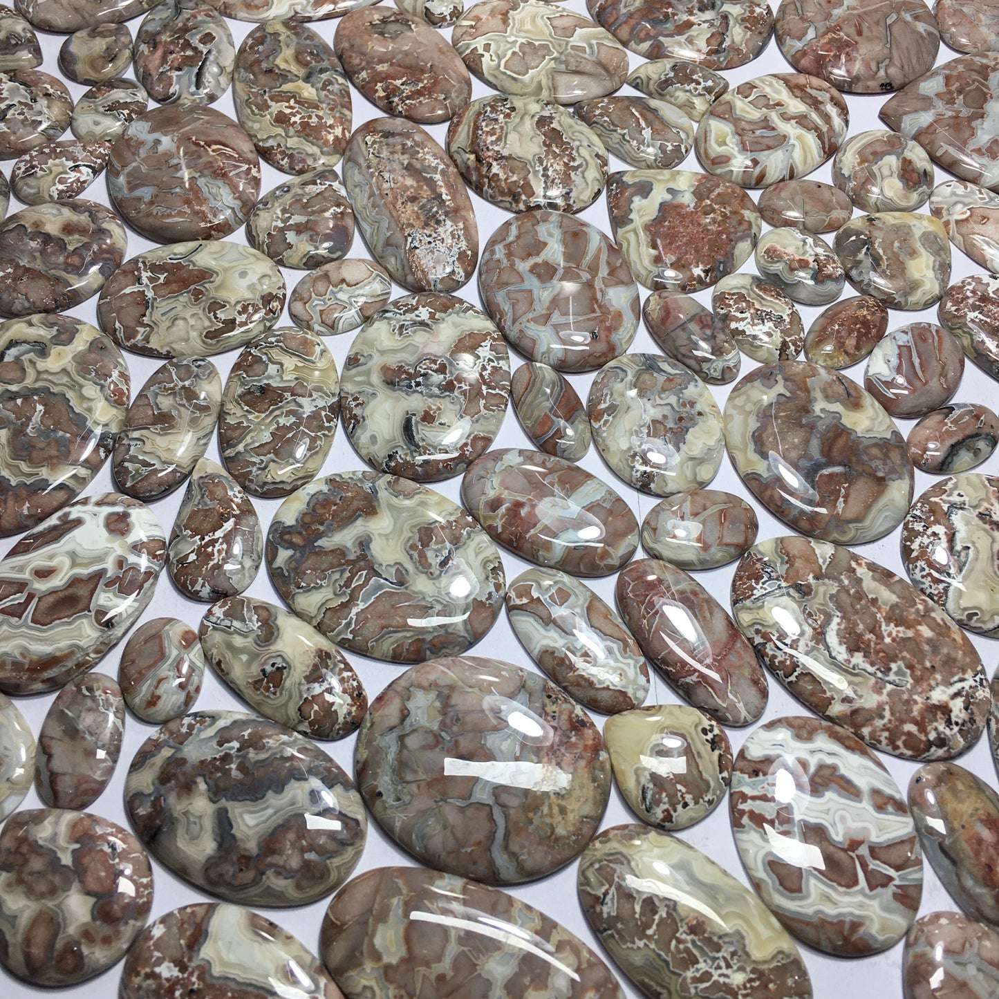 Natural Crazy Lace Agate Cabochon (Natural)