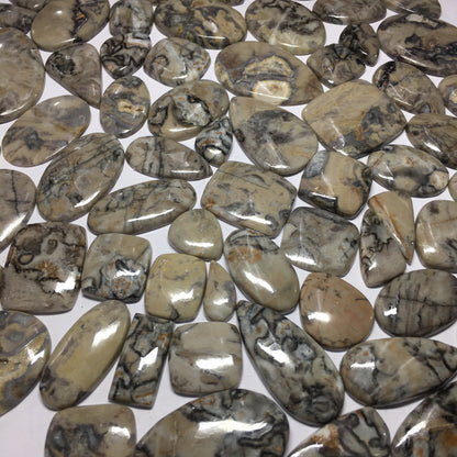 Natural Calci Jasper Cabochon (Natural)