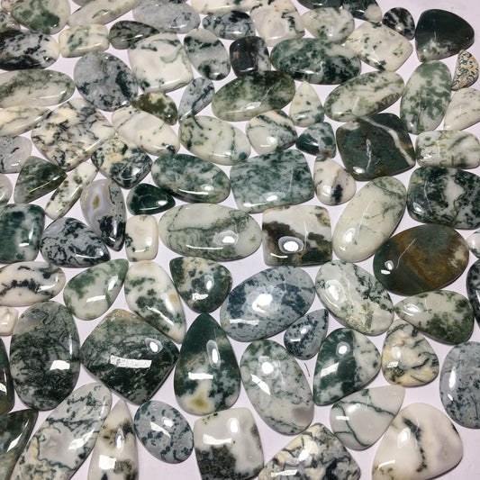 Natural Tree Agate Cabochon (Natural)