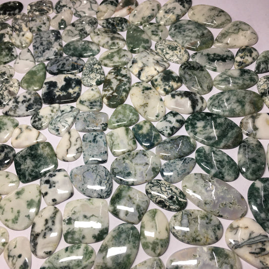 Natural Tree Agate Cabochon (Natural)