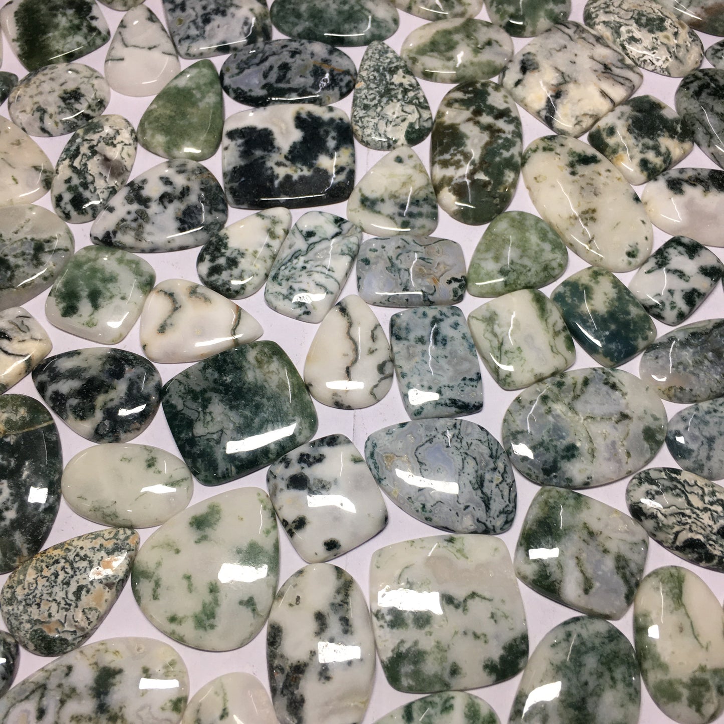 Natural Tree Agate Cabochon (Natural)